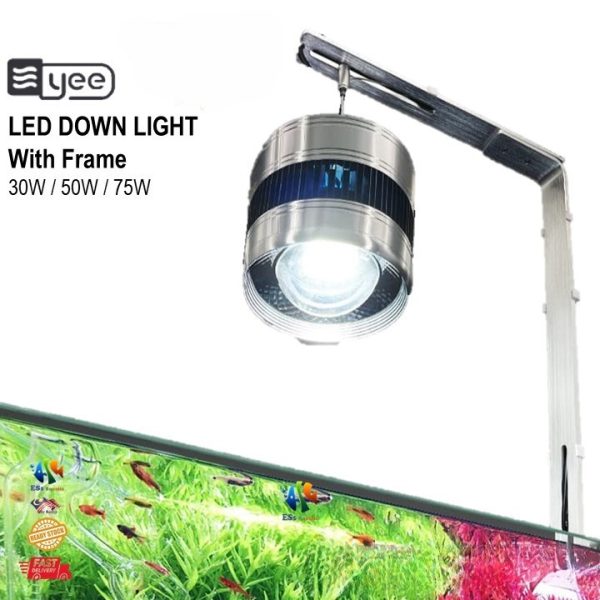 Full Spectrum Light 30W